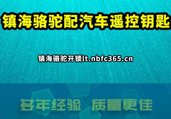 镇海骆驼配汽车遥控钥匙