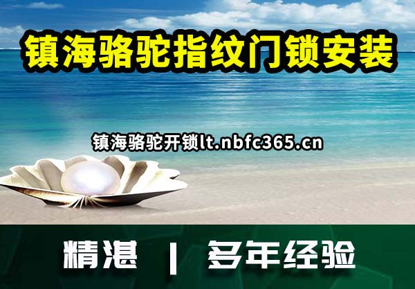 镇海骆驼指纹门锁安装